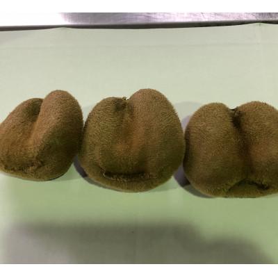 ふるさと納税 東かがわ市 訳あり香緑キウイ　約1.5kg |  | 02