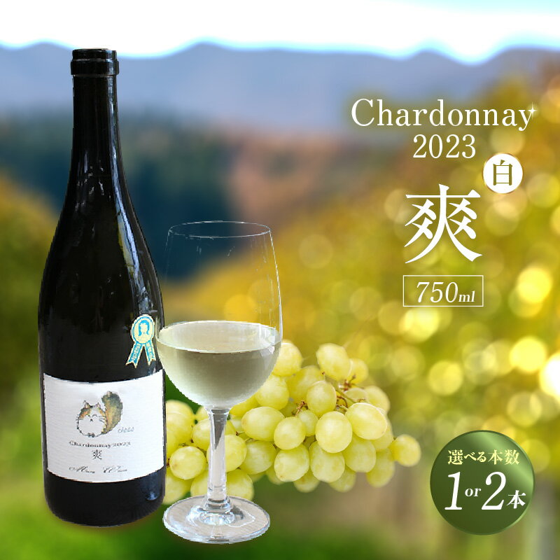 【ふるさと納税】Chardonnay 2023 爽 白ワイン 750ml【選べる本数（1本・2本）】東浦町の耕作放棄地を開墾した畑で大切に育てられたシャルドネから造ったワインです。 シャルドネ 無添加 無濾過 国産 日本ワイン パーティー 亜硫酸塩(酸化防止剤)無添加　送料無料 [AH004]