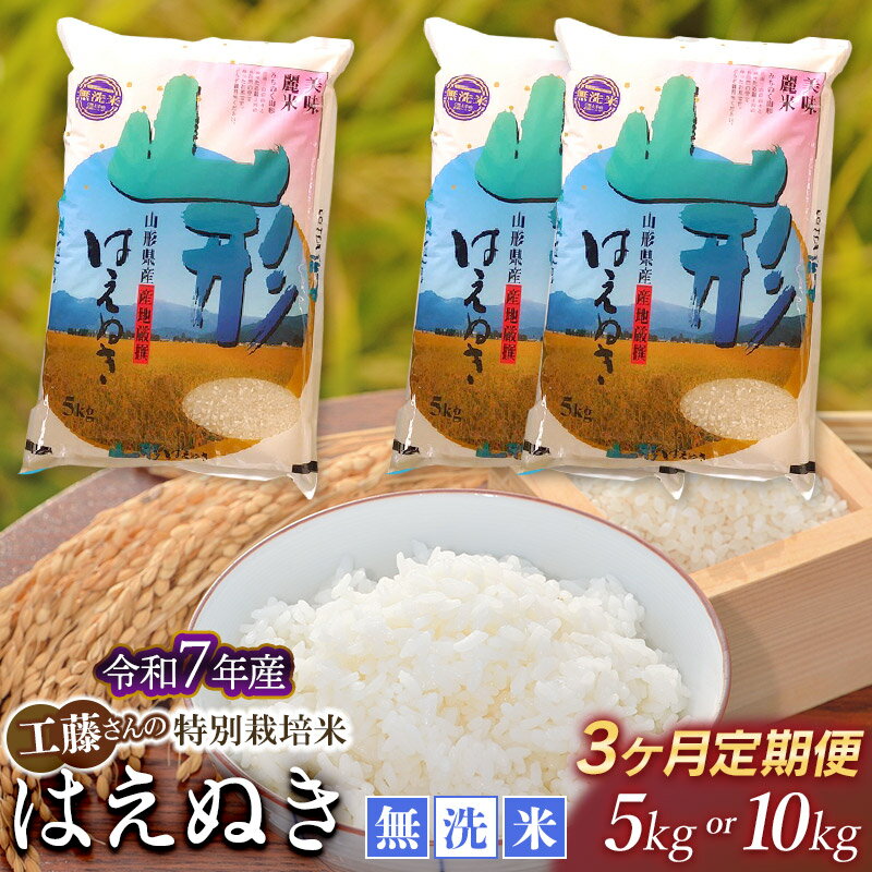 【ふるさと納税】【令和8年2月発送開始】【令和7年産】【3ヶ月定期便】工藤さんの 特別栽培米 はえぬき 無洗米 5kg 又は 10kg 毎月1回中旬発送 山形県 庄内産 2025年産