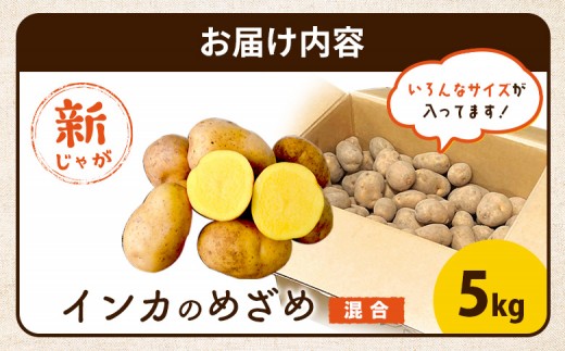 《！数量限定！》【新じゃが】インカのめざめ 混合サイズ 5kg