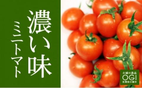 真子のミニトマト（約1,3kg） 味の濃い ビタミン豊富 完熟 プチトマト 特別栽培 新鮮　採れたて 佐賀県産 送料無料