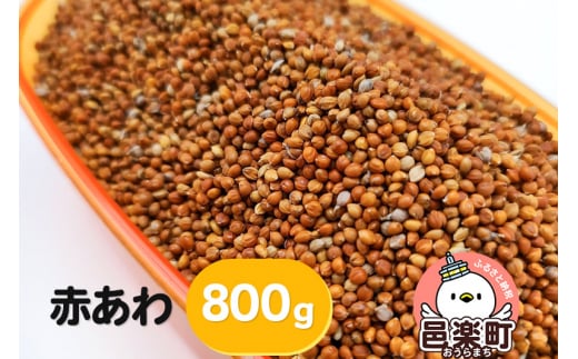 赤あわ 800g×1袋 サイトウ・コーポレーション 飼料