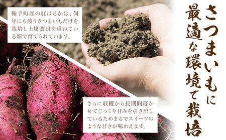 厳選 紅はるか 5kg しょうた農園《12月上旬-3月末頃出荷》福岡県 鞍手町 紅はるか さつまいも 芋 いも イモ サツマイモ