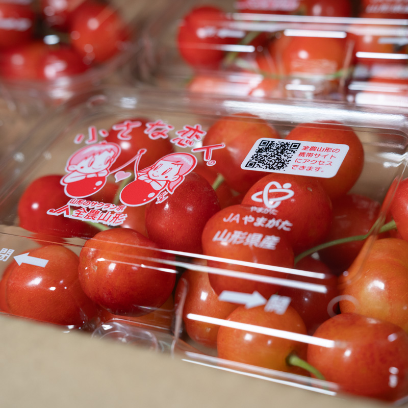 山形のさくらんぼ 紅秀峰 約720g(180g×4)【令和8年産先行予約】FS25-640