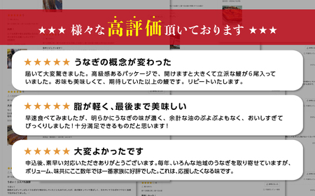 最高級 特上 幻の青うなぎ 3尾 うなぎ