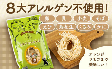 【全3回定期便】玄米パスタ スパゲッティ10袋セット / 玄米 パスタ 特産品 熊本【株式会社熊本玄米研究所】[BHAF016]
