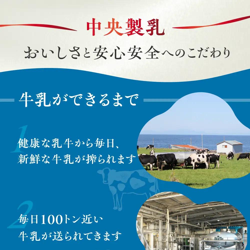 中央コーヒー 乳飲料 1L×6本 乳飲料