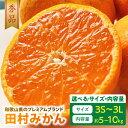 【ふるさと納税】田村みかん 秀品 選べる サイズ 容量 3S ~ 3L 10kg 5kg 和歌山プレミアムブランド 果汁 手作業 こだわり農法 みかん フルーツ 果物 お歳暮 お取り寄せ ギフト 和歌山県 湯浅町 送料無料