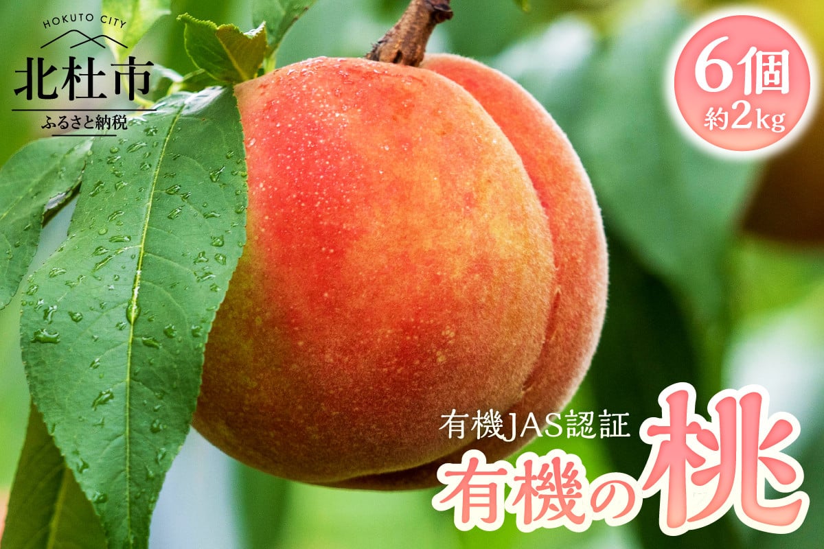 
            有機の桃6個入り（約2㎏）　有機の桃 有機の桃ギフト 有機栽培 有機JAS認証 希少な桃 山梨県産 北杜市産 名水育ち クール便発送 6個入り 約2kg 白州FARM もも おまかせ 品種 白鳳 夢あさま 白桃系 黄金桃 黄貴姫 滝野澤ゴールド 黄色系 山梨県 北杜市
          