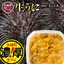 【ふるさと納税】【令和7年発送先行予約】塩水うに100g (1個～3個)【2025年5月上旬～8月発送】うに 岩手県大槌町 ウニ 100g 国産 ミョウバン不使用 生うに 収穫した日に発送 朝獲れ 天然【配送日指定不可】 《三陸産 濃厚 味》