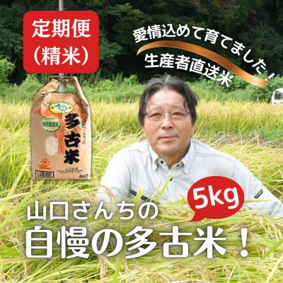 ふるさと納税 多古町 【毎月定期便】山口さんちの多古米コシヒカリ(精米)5kg全6回