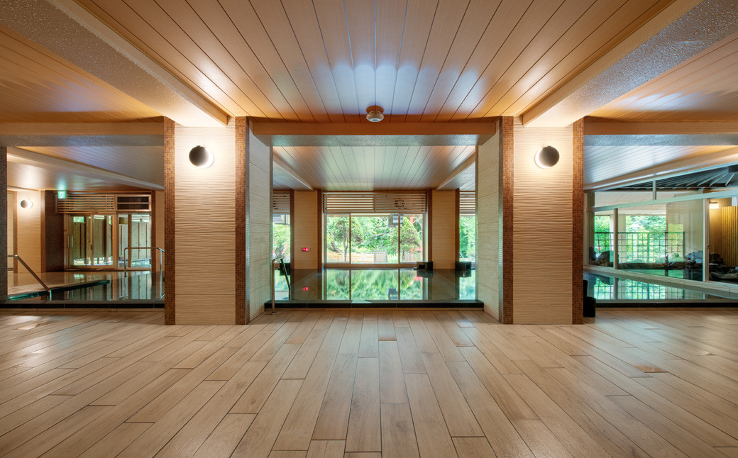 新鉛温泉 結びの宿  愛隣館  日帰り 入浴券 （10枚セット） 【1267】