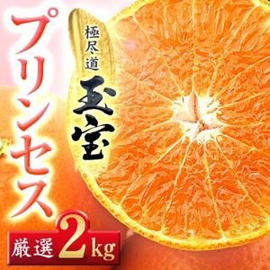 ≪新品種!!≫【甘平×まどんな】愛果48号(紅プリンセスと同品種)2kg【D64-76】【1621821】
