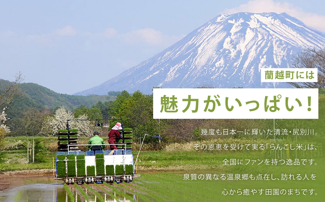 【1ヶ月毎 4回定期】シラカシャンプー、コンディショナーセット 1セット（合計4セット）