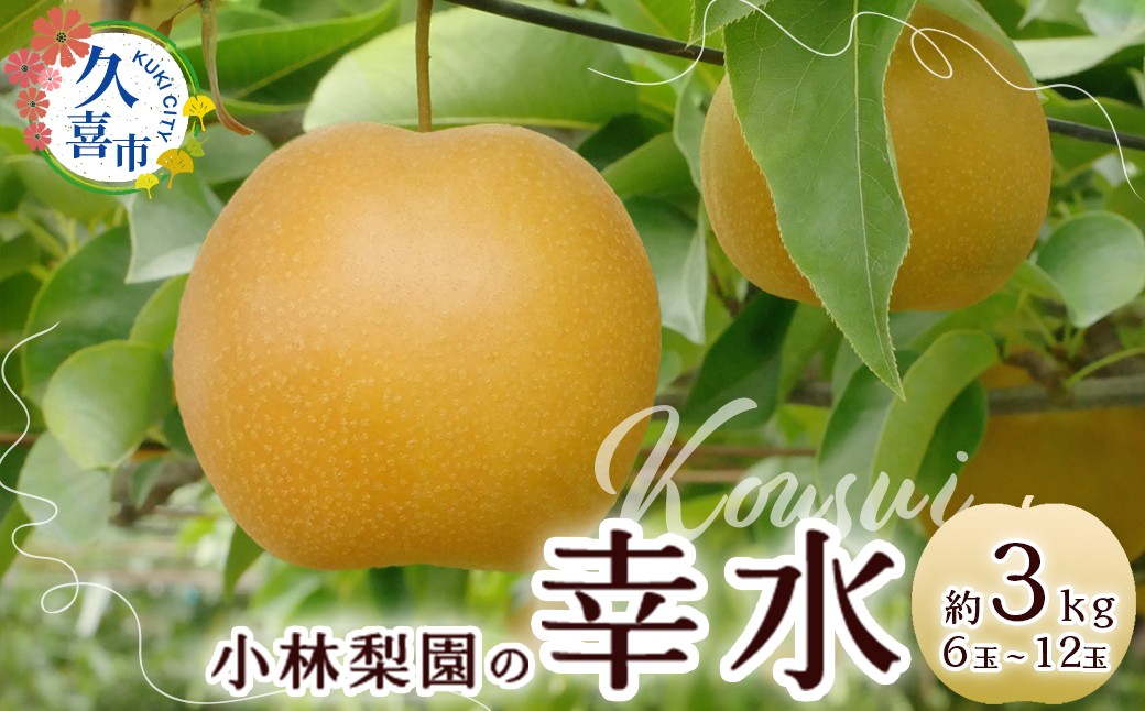 
            【2025年 先行予約】梨 幸水 約3kg 18代続く梨農家｜小林梨園 梨 フルーツ 旬 産地直送 数量限定 贈り物 新鮮 お取り寄せ デザート ギフト 風味豊か 赤梨 大玉 香り 上品 みずみずしい 甘い 限定 果物 果樹 幸水 梨 なし 果物 フルーツ 菖蒲 和梨 埼玉県 久喜市蒲 
          
