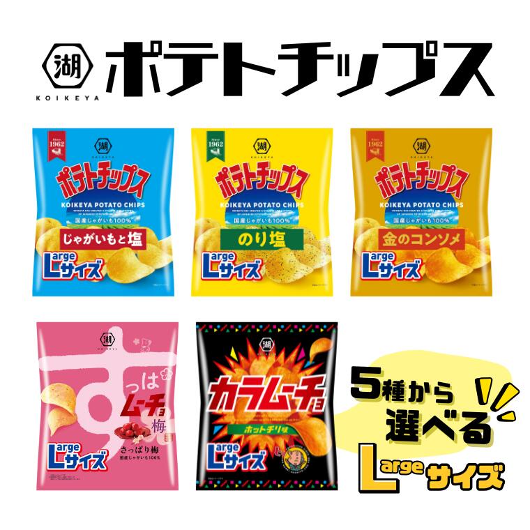 【ふるさと納税】選べる湖池屋のLサイズポテトチップス（全5種）【ポテチ】
