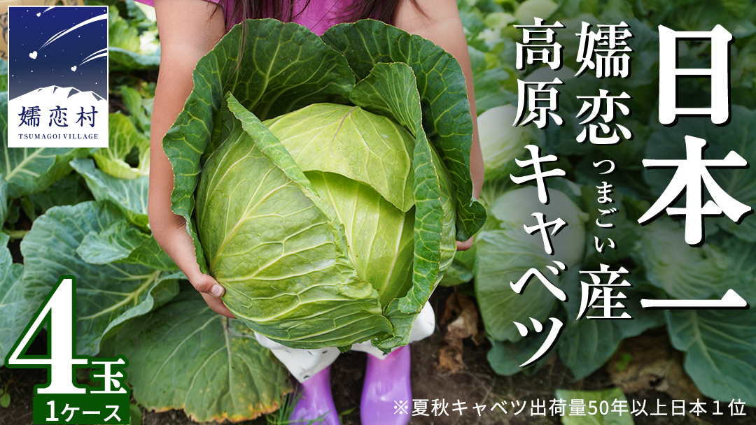 【7月中旬発送開始】 嬬恋キャベツ  嬬恋産 高原キャベツ4玉1ケース 旬の野菜 きゃべつ 産地直送 群馬 お取り寄せ 野菜 セット Lサイズ ZIP! 先行予約 2026年発送 [AS002tu]