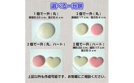 一升餅 「赤・白」「丸形・ハート形」｜小分け可 一生餅 誕生餅 背負い餅 踏み餅 紅白餅【ひだまり】【お好みの選択可能】※着日指定不可※離島への配送不可