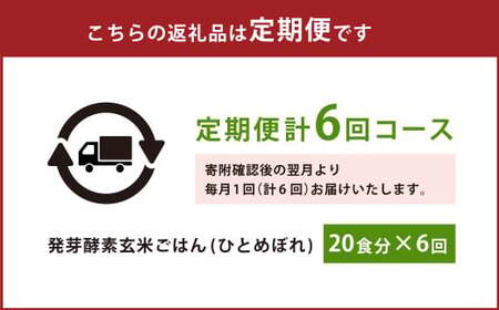 【6ヶ月定期便】 レンジ対応！ 3日寝かせ 発芽酵素 玄米ごはん (ひとめぼれ) 20食分 × 6回 【常温】 玄米 大分県産