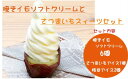 【ふるさと納税】焼きイモ ソフトクリーム 6個 さつまいも スィーツ 枝豆 アイス セット r05-015-007