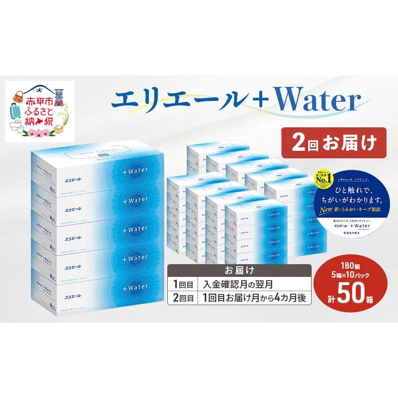 ティッシュ エリエール ＋Water【計100箱】【2回定期便】