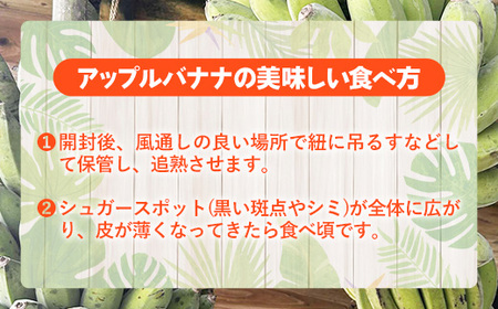 国産 希少種！南国フーズのアップルバナナ 約5kg - ばなな 小ぶり 沖縄県産 産地直送 朝食 おすすめ 八重瀬町