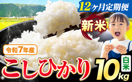 【12ヶ月定期便】令和7年産 白米 こしひかり 10kg 《お申込み翌月から出荷》 