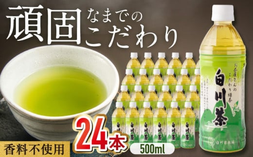 白川茶 ペットボトル 500ml×24本入 緑茶 お茶 岐阜 白川町 500 ペットボトル 500ml 爽やか / 白川園本舗 [AWAT001]