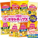 【ふるさと納税】【 期間限定 特別価格 】＜選べる＞ カルビー ポテトチップス 九州しょうゆ うすしお コンソメパンチ のりしお サイズ ビッグバッグ BIGBAG 定期便 ポテチ チップス お菓子 Calbee セット 大容量 セイカ食品 鹿児島市 おすすめ ランキング プレゼント ギフト