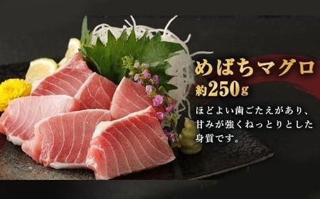 【定期便/計5回】天然マグロ メバチ・ビンチョウ（650g）【まぐろ】ge007