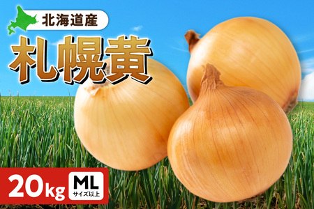 札幌黄 玉ねぎ 北海道産 20kg MLサイズ以上