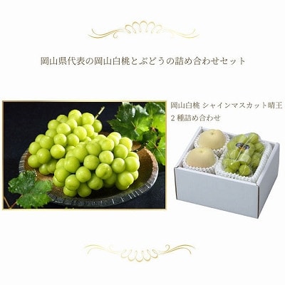 岡山県産 岡山白桃エースLサイズ200g×2玉・シャインマスカット晴王400g×1房 詰合せ【配送不可地域：離島・北海道・沖縄県】【1472028】
