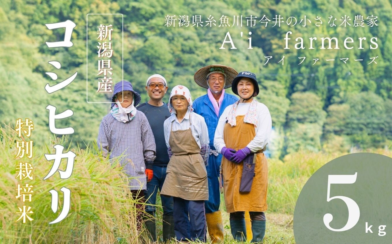 
            【令和7年産】米 コシヒカリ 5kg 新潟県 糸魚川市産 減農薬 減化学肥料米 BL米 安心 安全 美味しいお米 新潟米 今井産 アイファーマーズ 今摺り米 精米 白米【こしひかり おにぎり お弁当 におすすめ お米 おこめ コメ ご飯 ライス ふるさと納税米 ブランド米 令和7年産 2025年 5キロ】
          