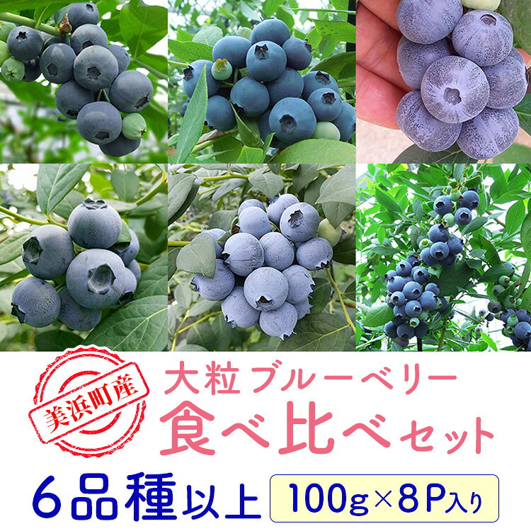 【ふるさと納税】美浜町産大粒ブルーベリー食べ比べセット6品種以上 『8パック入り』 ※2026年6月中旬～6月下旬頃に順次発送予定