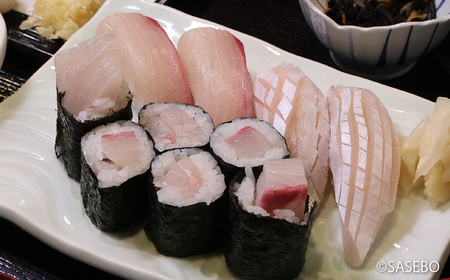 ｢九十九島ひらまさ｣スキンレスロインセット