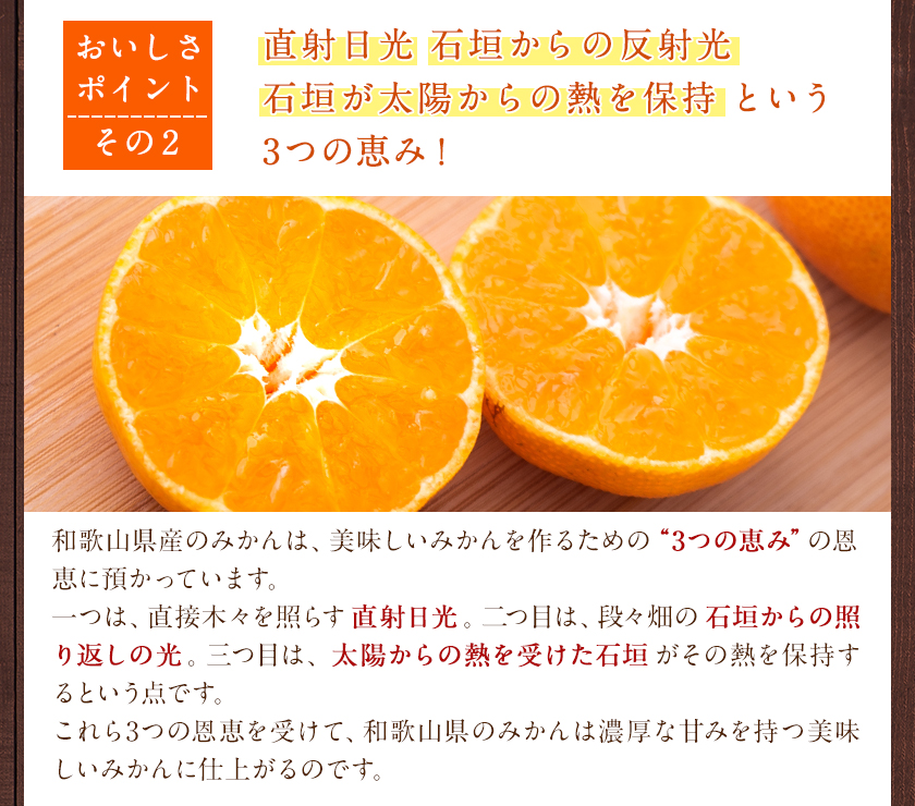 【訳あり/ご家庭用】和歌山県産小玉みかん 約3kg【3S-2Sサイズ】 サンファーム《10月上旬-1月下旬頃出荷》和歌山県 紀の川市