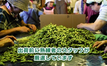【令和8年産先行予約】山形セレクション認定　だだちゃ豆 「白山だだちゃ」 1.2kg（600g×2袋）　山形県鶴岡市　白山ちゃ茶農園　K-831　| だだちゃ豆 枝豆 えだまめ 豆 1.2キロ 夏の味