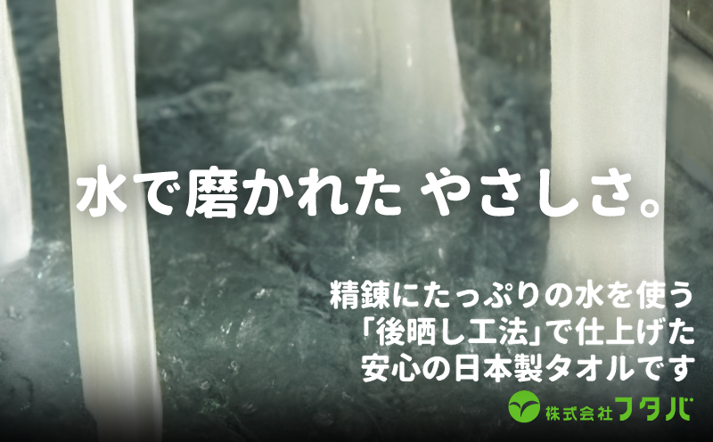 白タオルセット（抗ウイルス加工）【泉州タオル 国産 吸水 普段使い シンプル 日用品】