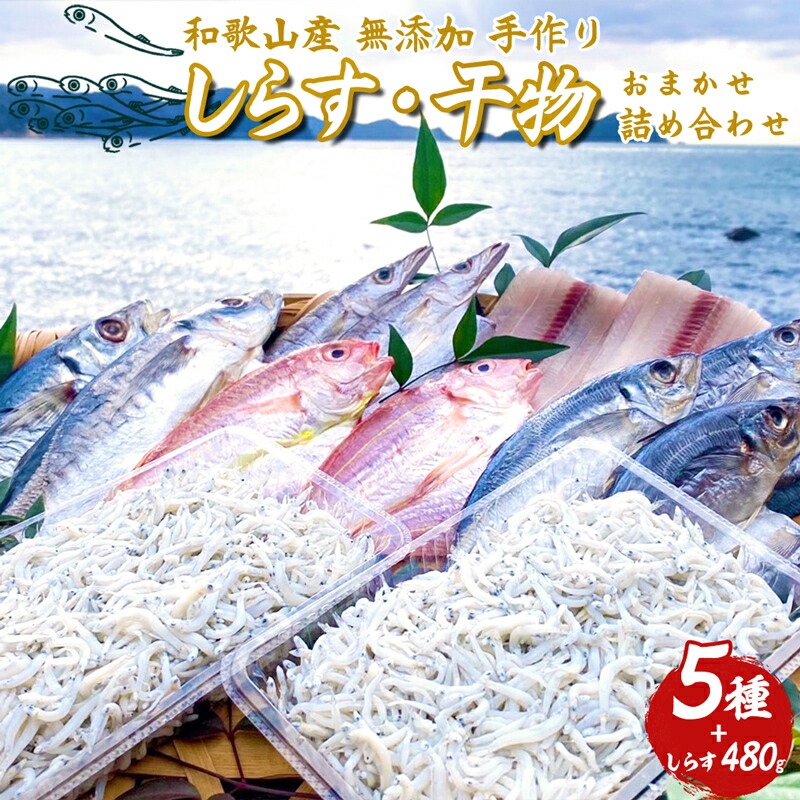 しらす ・ 干物 おまかせ詰め合わせ セット B_DL6002n