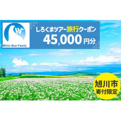 【旭川市】しろくまツアーで利用可能なWEB旅行クーポン (45,000円分)_05219【1660756】