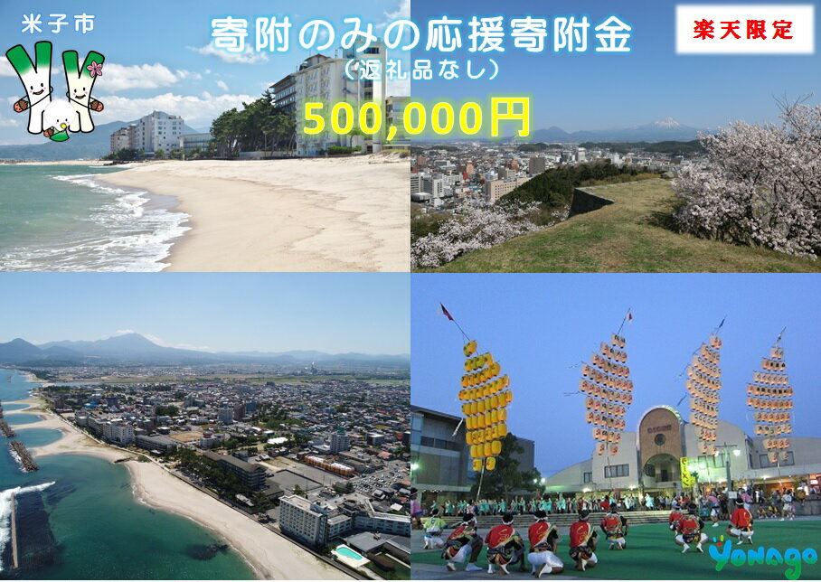 【ふるさと納税】楽天限定 21-000-004 米子市応援寄付金500,000円（返礼品なし）