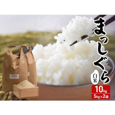 ふるさと納税 鰺ヶ沢町 令和7年産 まっしぐら 白米 10kg (5kg×2袋) 精米 [53841306]