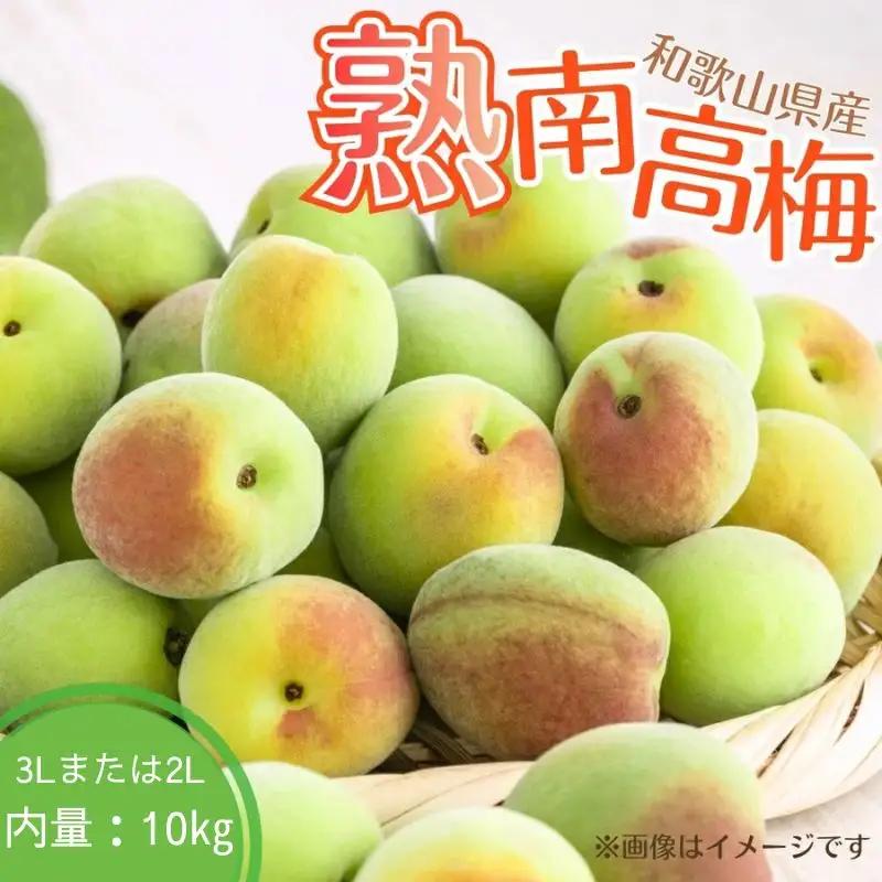 【梅干・梅酒用】（3Lまたは2L－10Kg）熟南高梅＜2026年6月上旬～7月7日発送予定＞【ART06】 梅 梅干し ウメ 青梅 生梅 梅シロップ フルーツ 果物 くだもの 食品 人気 おすすめ 送料無料【art009B】