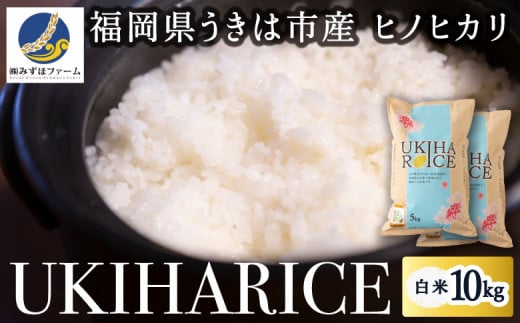 みずほファーム UKIHA RICE 白米10kg 2024年11月より順次出荷予定