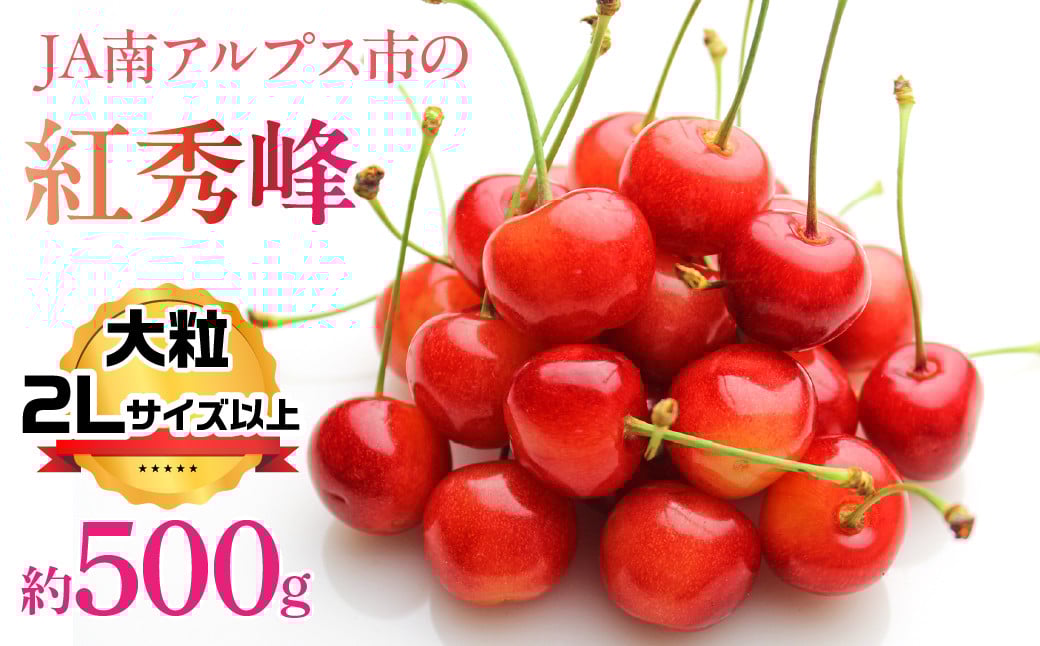 
            【2025年度先行予約】さくらんぼ 紅秀峰　2Lサイズ以上　500ｇ | 山梨 山梨県 さくらんぼ 紅週報 サクランボ 大粒 フルーツ くだもの 果物 高級 新鮮 産地直送 贈答 ギフト 2025年 | ALPAA054
          