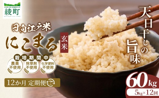 【12か月定期便】天日干しが引き出す お米の旨味 日向江戸米（にこまる）【玄米】合計60kg 国産米 ブランド米 農薬不使用 化学肥料不使用 無農薬 ごはん ご飯 おにぎり お弁当 冷めても美味しい もっちり食感 和食 主食 人気 おすすめ 宮崎県 綾町 送料無料_A0038-037