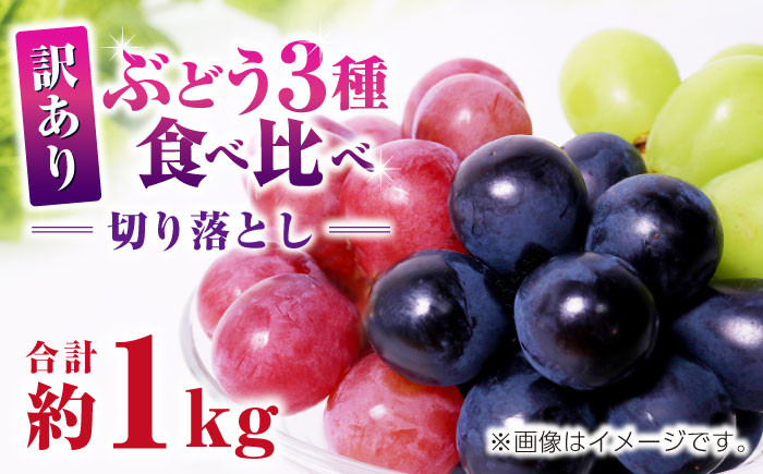 
            【先行予約】訳あり ぶどう3種 食べ比べ 切り落とし 計約1kg  【合同会社 社方園】わけあり ブドウ 熊本  [ZBZ009]
          