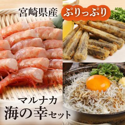 ふるさと納税 延岡市 宮崎産　マルナカ海の幸セット　ぷりっぷりのアカスエビ(無頭)・唐揚げ用メヒカリ・しらす丼5食分セット