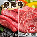 【ふるさと納税】飛騨牛　霜降り・赤身 焼肉 各350g（計700g） 牛肉 和牛 バラ モモ カタ 食べ比べ ロース カルビ 焼き肉 贈り物 ギフト 飛騨市[Q2523]35000円