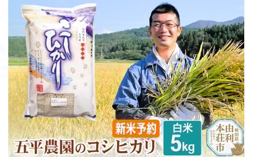 《新米予約》《12月上旬～下旬発送予定》【白米】コシヒカリ 令和7年産 秋田県産 五平農園のコシヒカリ 5kg